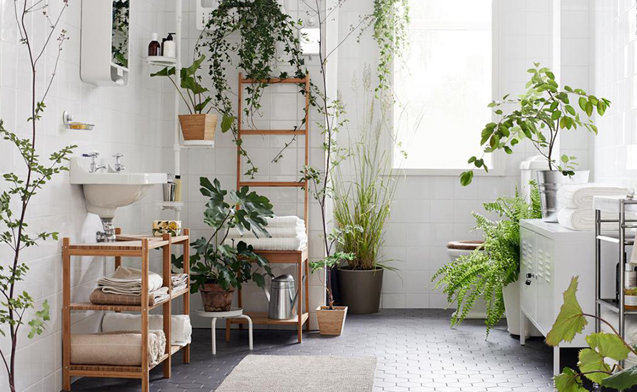 چیدمان حمام و سرویس بهداشتی با گل و گیاه